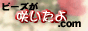 saita